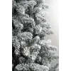 Brad artificial Himalaya Snow 220 cm QC216, 1100 Ramuri 2D + 3D PE, Circumferinta Bazei 276 cm